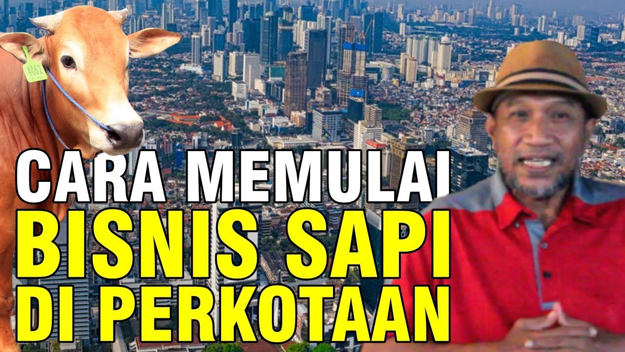 
                                 Bisnis-Ternak-Sapi-Ibukota